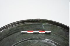 Foto von Bronzerippenziste (NHMW-PRAE-025670)